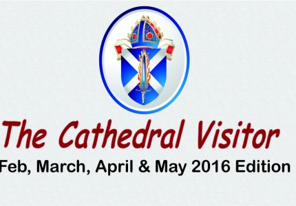 cath-visitor-feb-may-2016